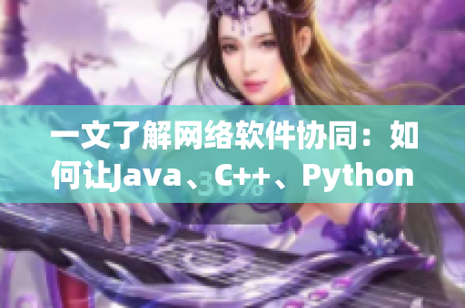 一文了解網(wǎng)絡(luò)軟件協(xié)同：如何讓Java、C++、Python等語言“一起吃”