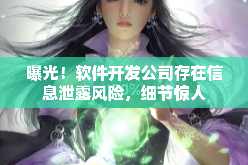 曝光！軟件開發(fā)公司存在信息泄露風險，細節(jié)驚人