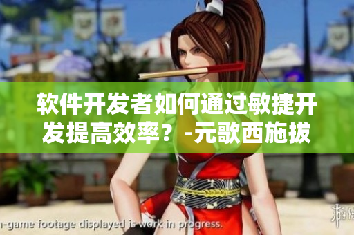 軟件開發(fā)者如何通過敏捷開發(fā)提高效率？-元歌西施拔蘿卜流血簡析