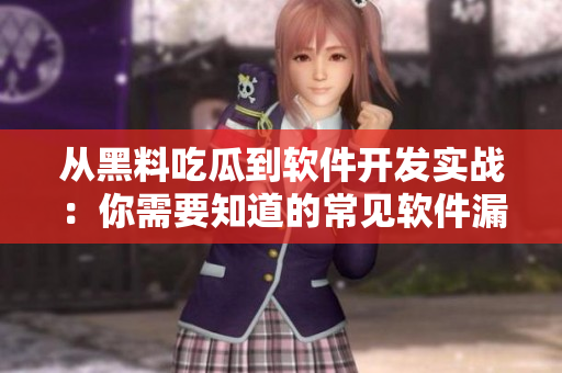 從黑料吃瓜到軟件開發(fā)實戰(zhàn)：你需要知道的常見軟件漏洞和防范方案