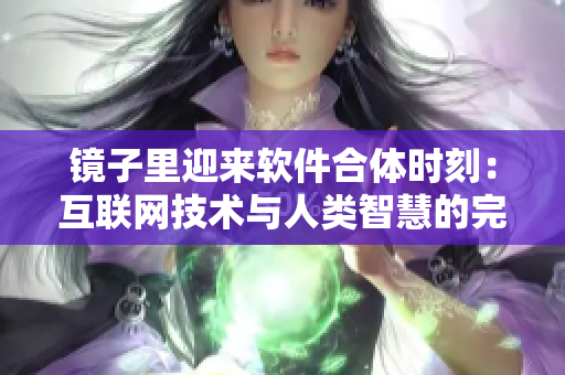 鏡子里迎來軟件合體時刻：互聯(lián)網(wǎng)技術(shù)與人類智慧的完美融合