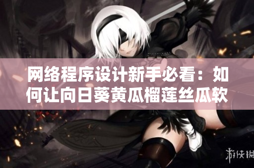 網(wǎng)絡(luò)程序設(shè)計(jì)新手必看：如何讓向日葵黃瓜榴蓮絲瓜軟件共同運(yùn)行？