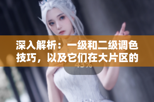深入解析：一級和二級調(diào)色技巧，以及它們在大片區(qū)的應用差異