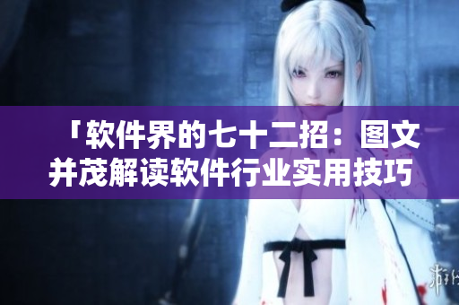 「軟件界的七十二招：圖文并茂解讀軟件行業(yè)實(shí)用技巧」