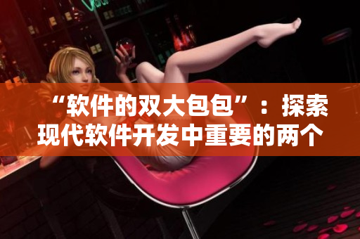 “軟件的雙大包包”：探索現(xiàn)代軟件開發(fā)中重要的兩個概念