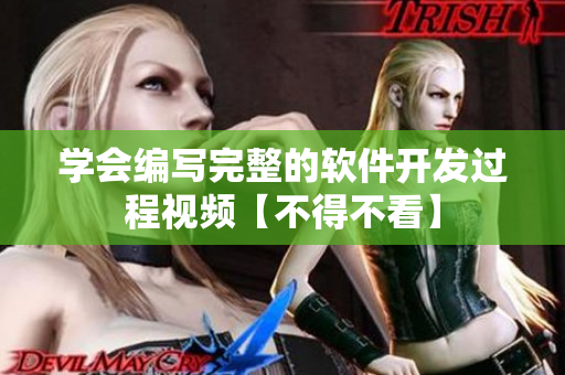 學(xué)會編寫完整的軟件開發(fā)過程視頻【不得不看】