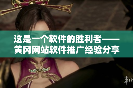 這是一個軟件的勝利者——黃岡網(wǎng)站軟件推廣經(jīng)驗分享