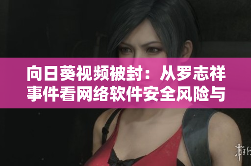 向日葵視頻被封：從羅志祥事件看網(wǎng)絡(luò)軟件安全風(fēng)險與防護(hù)策略