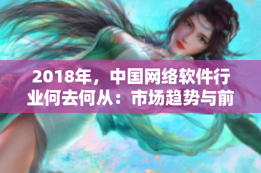2018年，中國(guó)網(wǎng)絡(luò)軟件行業(yè)何去何從：市場(chǎng)趨勢(shì)與前景展望