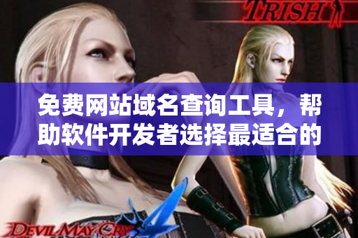 免費網(wǎng)站域名查詢工具，幫助軟件開發(fā)者選擇最適合的域名