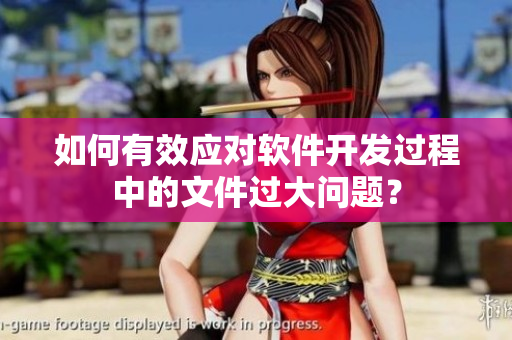 如何有效應(yīng)對軟件開發(fā)過程中的文件過大問題？