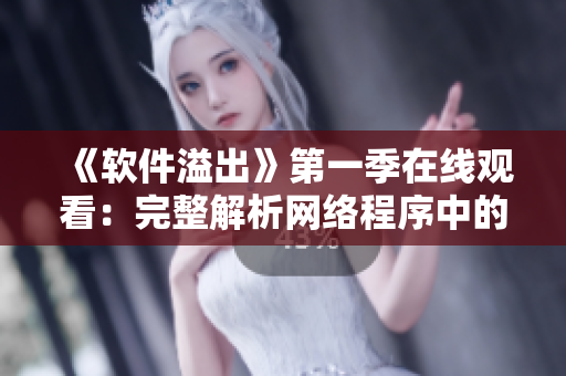 《軟件溢出》第一季在線觀看：完整解析網(wǎng)絡(luò)程序中的常見漏洞