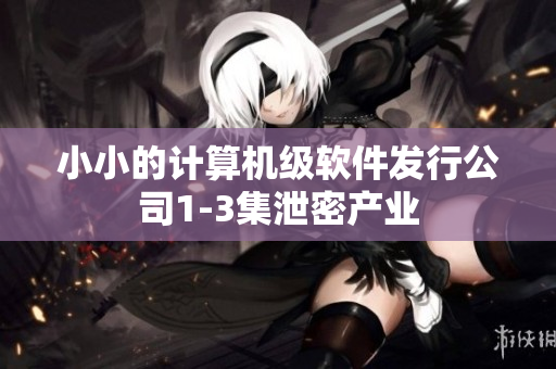 小小的計(jì)算機(jī)級(jí)軟件發(fā)行公司1-3集泄密產(chǎn)業(yè)
