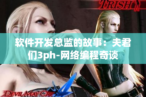 軟件開(kāi)發(fā)總監(jiān)的故事：夫君們3ph-網(wǎng)絡(luò)編程奇談