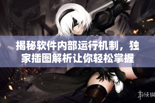 揭秘軟件內(nèi)部運行機制，獨家插圖解析讓你輕松掌握