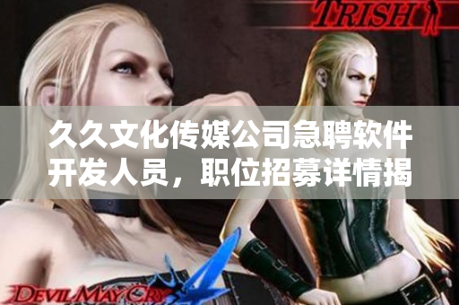 久久文化傳媒公司急聘軟件開發(fā)人員，職位招募詳情揭曉