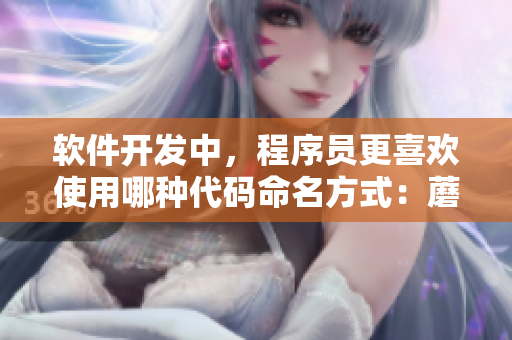 軟件開發(fā)中，程序員更喜歡使用哪種代碼命名方式：蘑菇頭還是子彈頭？