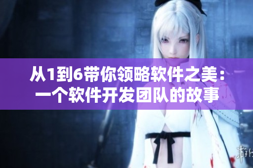 從1到6帶你領(lǐng)略軟件之美：一個軟件開發(fā)團(tuán)隊的故事