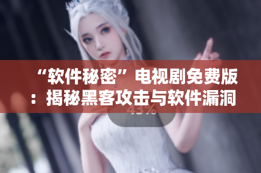 “軟件秘密”電視劇免費(fèi)版：揭秘黑客攻擊與軟件漏洞的故事
