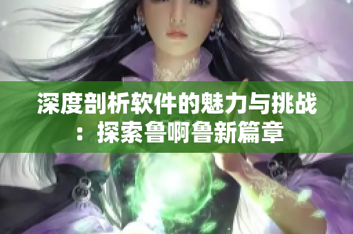 深度剖析軟件的魅力與挑戰(zhàn)：探索魯啊魯新篇章