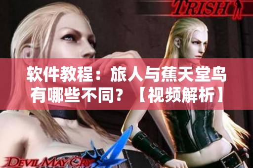 軟件教程：旅人與蕉天堂鳥有哪些不同？【視頻解析】