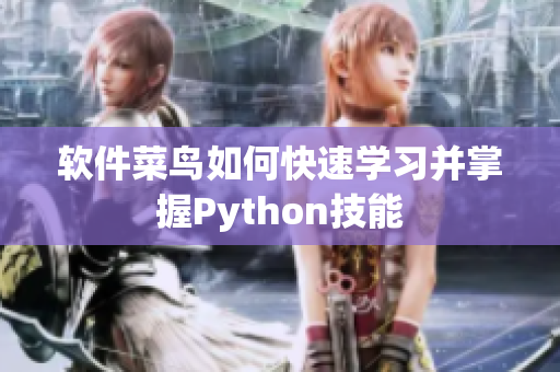 軟件菜鳥如何快速學(xué)習(xí)并掌握Python技能