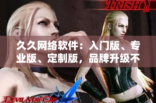 久久網(wǎng)絡(luò)軟件：入門版、專業(yè)版、定制版，品牌升級(jí)不止三線！