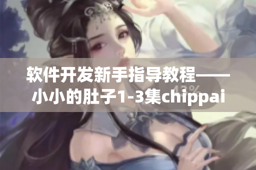 軟件開發(fā)新手指導教程——小小的肚子1-3集chippai