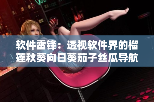 軟件雷鋒：透視軟件界的榴蓮秋葵向日葵茄子絲瓜導航