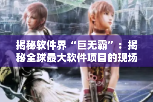 揭秘軟件界“巨無霸”：揭秘全球最大軟件項(xiàng)目的現(xiàn)場(chǎng)圖解閃亮登場(chǎng)