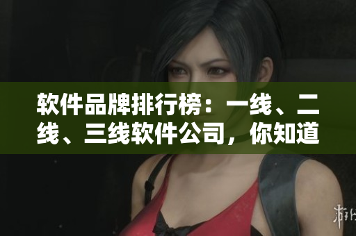 軟件品牌排行榜：一線(xiàn)、二線(xiàn)、三線(xiàn)軟件公司，你知道哪些