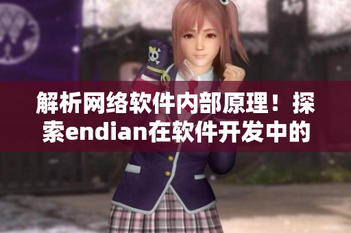 解析網(wǎng)絡軟件內(nèi)部原理！探索endian在軟件開發(fā)中的應用
