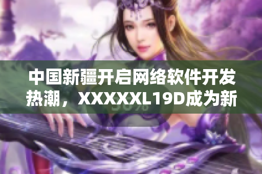 中國新疆開啟網(wǎng)絡(luò)軟件開發(fā)熱潮，XXXXXL19D成為新寵！
