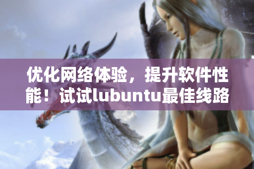 優(yōu)化網(wǎng)絡(luò)體驗，提升軟件性能！試試lubuntu最佳線路檢測3！
