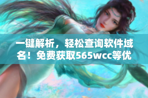 一鍵解析，輕松查詢軟件域名！免費(fèi)獲取565wcc等優(yōu)質(zhì)域名信息