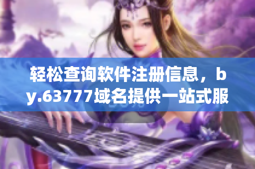 輕松查詢軟件注冊信息，by.63777域名提供一站式服務(wù)