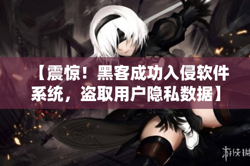 【震驚！黑客成功入侵軟件系統(tǒng)，盜取用戶隱私數(shù)據(jù)】——網(wǎng)絡軟件編輯報道