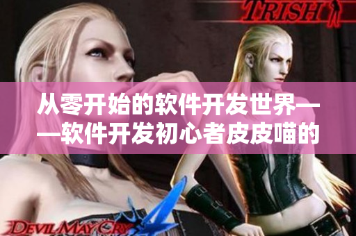從零開始的軟件開發(fā)世界——軟件開發(fā)初心者皮皮喵的學(xué)習(xí)筆記