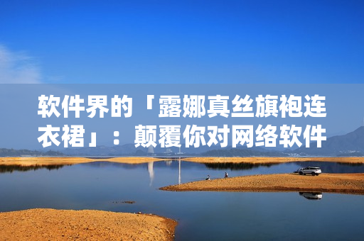 軟件界的「露娜真絲旗袍連衣裙」：顛覆你對網(wǎng)絡(luò)軟件界的認知！