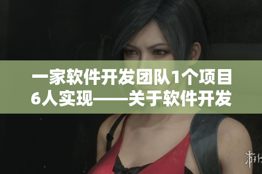 一家軟件開(kāi)發(fā)團(tuán)隊(duì)1個(gè)項(xiàng)目6人實(shí)現(xiàn)——關(guān)于軟件開(kāi)發(fā)的小說(shuō)