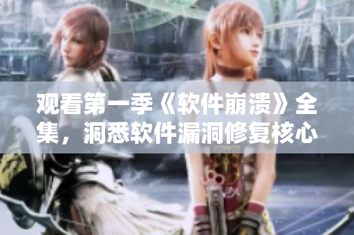 觀看第一季《軟件崩潰》全集，洞悉軟件漏洞修復核心。