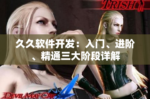 久久軟件開發(fā)：入門、進(jìn)階、精通三大階段詳解