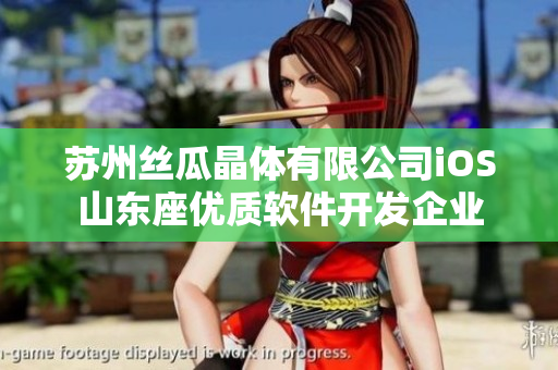 蘇州絲瓜晶體有限公司iOS山東座優(yōu)質軟件開發(fā)企業(yè)