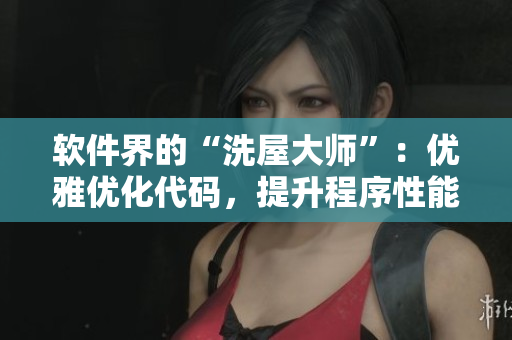 軟件界的“洗屋大師”：優(yōu)雅優(yōu)化代碼，提升程序性能