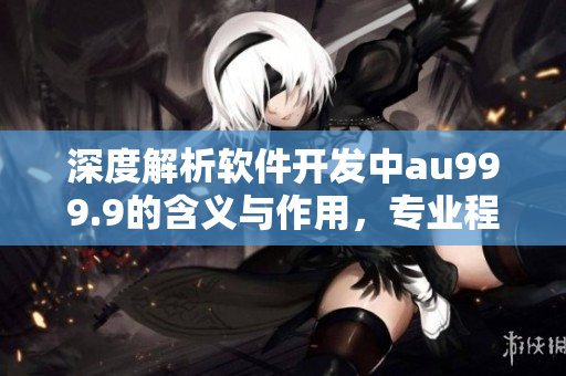 深度解析軟件開發(fā)中au999.9的含義與作用，專業(yè)程序員必看！
