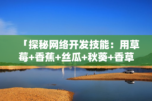 「探秘網(wǎng)絡(luò)開發(fā)技能：用草莓+香蕉+絲瓜+秋葵+香草寫出優(yōu)質(zhì)軟件」