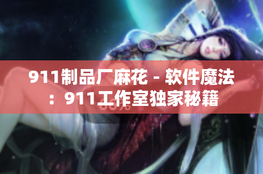 911制品廠麻花 - 軟件魔法：911工作室獨(dú)家秘籍