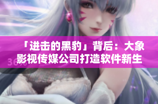 「進(jìn)擊的黑豹」背后：大象影視傳媒公司打造軟件新生態(tài)