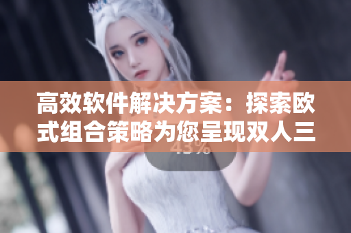 高效軟件解決方案：探索歐式組合策略為您呈現(xiàn)雙人三人優(yōu)化方案