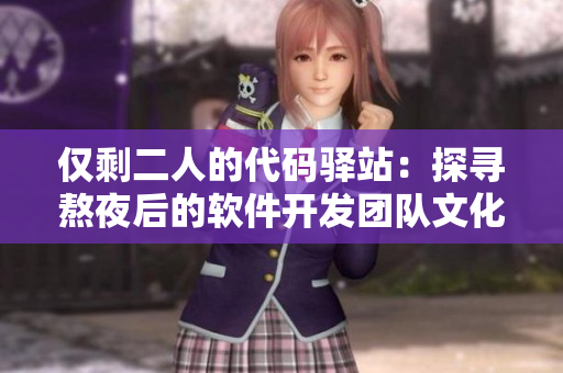 僅剩二人的代碼驛站：探尋熬夜后的軟件開(kāi)發(fā)團(tuán)隊(duì)文化